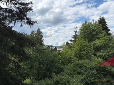 Sale hut Kašperské Hory, Na Prádle 13 č. 8
