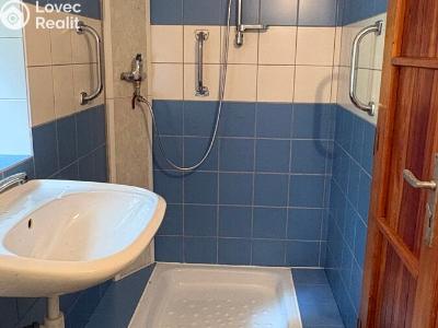 Sale hut Kašperské Hory, Na Prádle 13 č. 14