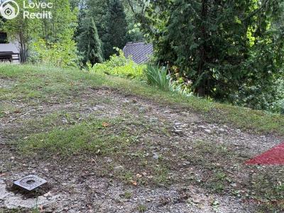 Sale hut Kašperské Hory, Na Prádle 13 č. 24