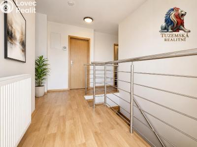 Sale multi-gen house Šternberk, Tolstého č. 23