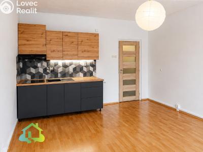 Оренда квартири 1+KK Liberec, Staškova č. 2