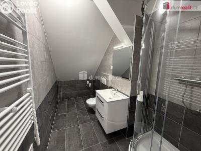 Rent apartment 2+KK Město Touškov, Čemínská č. 3