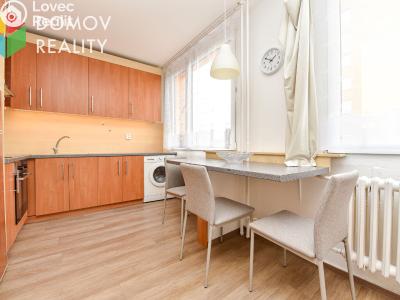 Rent apartment 1+KK Králův Dvůr, Nad Stadionem č. 1