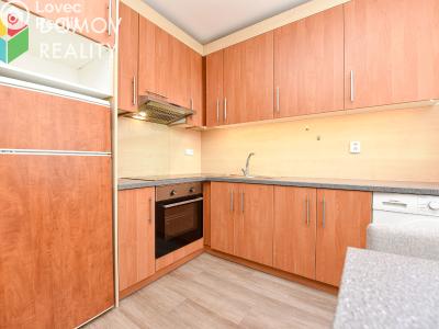 Rent apartment 1+KK Králův Dvůr, Nad Stadionem č. 2