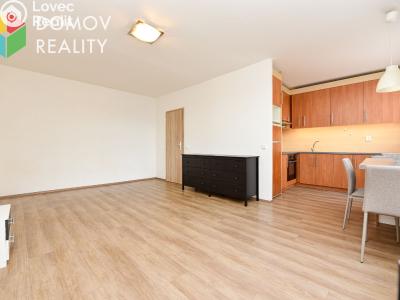 Rent apartment 1+KK Králův Dvůr, Nad Stadionem č. 3