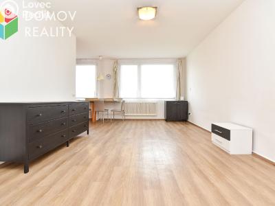 Rent apartment 1+KK Králův Dvůr, Nad Stadionem č. 4