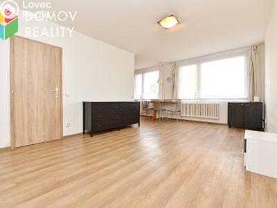 Rent apartment 1+KK Králův Dvůr, Nad Stadionem č. 5