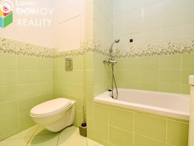 Rent apartment 1+KK Králův Dvůr, Nad Stadionem č. 7
