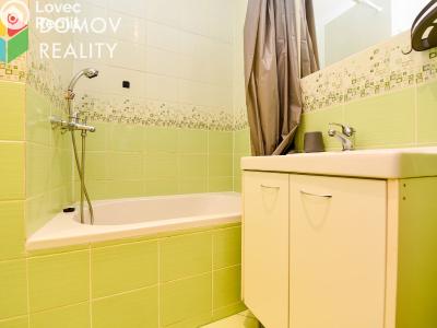 Rent apartment 1+KK Králův Dvůr, Nad Stadionem č. 8
