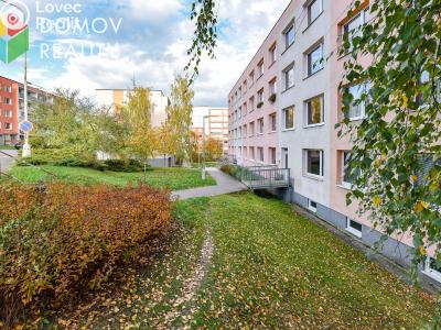 Rent apartment 1+KK Králův Dvůr, Nad Stadionem č. 11