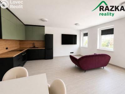 Rent apartment 2+KK Planá, Zámecká č. 11