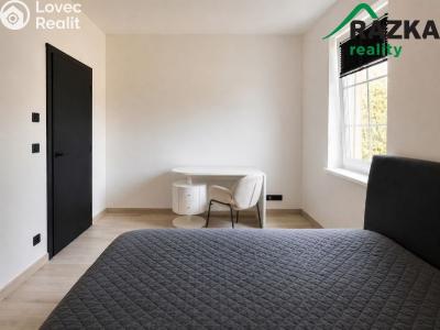 Rent apartment 2+KK Planá, Zámecká č. 3
