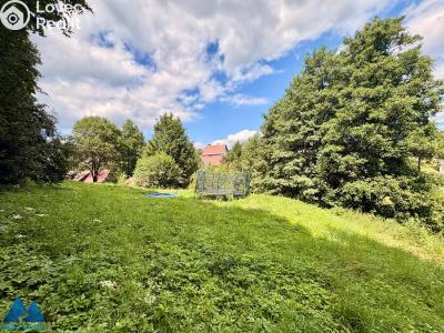 Продажа семейного дома Bukovina u Čisté č. 9