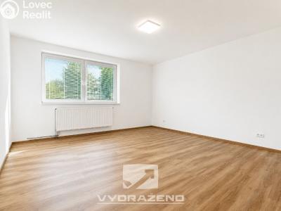 Prodej bytu 6 a více Stará Paka č. 11