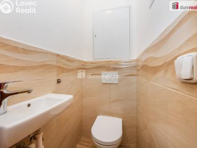 Prodej bytu 2+1 Praha 3, Buková č. 13