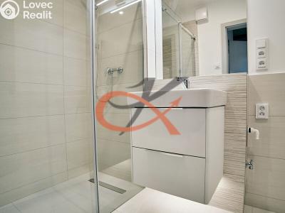 Rent apartment 2+KK Šenov u Nového Jičína, Jeremenkova 226 č. 9