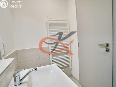 Rent apartment 2+KK Šenov u Nového Jičína, Jeremenkova 226 č. 10