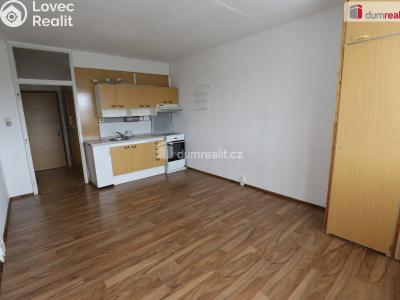 Pronájem bytu 1+KK Karlovy Vary, U Koupaliště č. 1