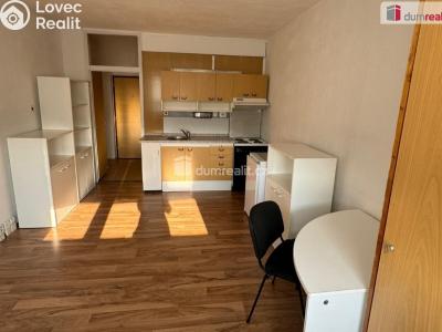 Pronájem bytu 1+KK Karlovy Vary, U Koupaliště č. 4