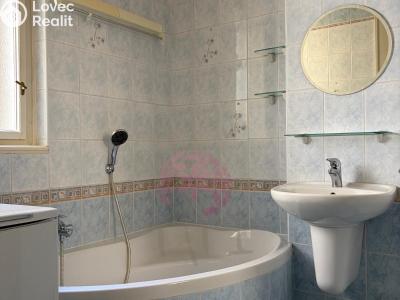 Rent apartment 1+1 Praha, Jana Želivského č. 5