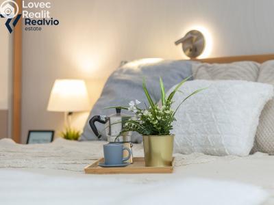 Prodej rodinného domu Brno, Slámova č. 9