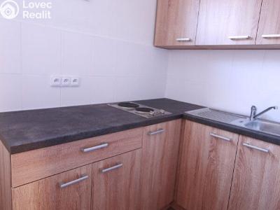 Продажа гостиницы Neratovice, Jedová 626 č. 12