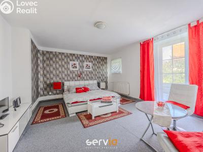 Оренда квартири 2+1 Brno, Mahenova č. 3