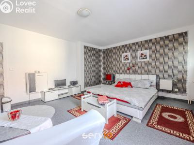Оренда квартири 2+1 Brno, Mahenova č. 9