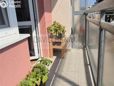 Prodej bytu 2+1 Smiřice, Gen. Govorova 551 č. 14