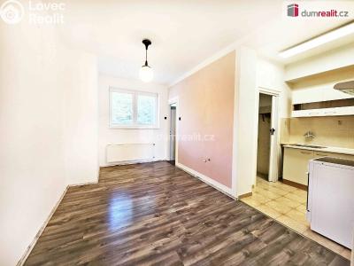 Rent apartment 3+KK Lovosice, 28. října č. 2