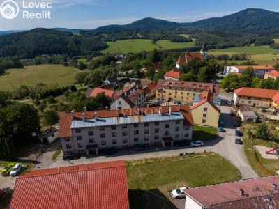 Sale apartment 2+1 Ktiš č. 1
