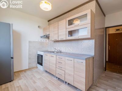 Sale apartment 2+1 Ktiš č. 2
