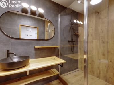 Rent apartment 1+1 Chodov, Vítězná 625 č. 3