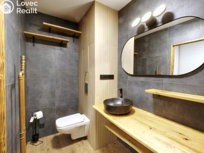 Rent apartment 1+1 Chodov, Vítězná 625 č. 4