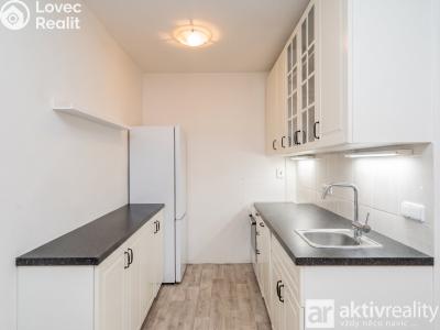 Sale apartment 2+KK Neratovice, Na Výsluní č. 7