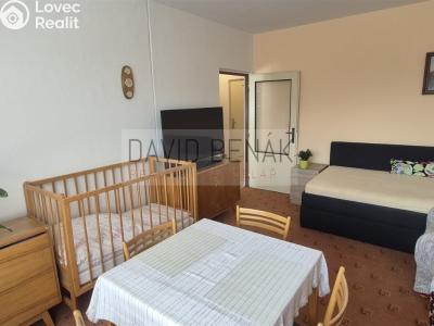 Prodej bytu 1+1 Smiřice, Gen. Govorova 551 č. 2