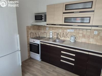Prodej bytu 1+1 Smiřice, Gen. Govorova 551 č. 4