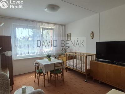Prodej bytu 1+1 Smiřice, Gen. Govorova 551 č. 7