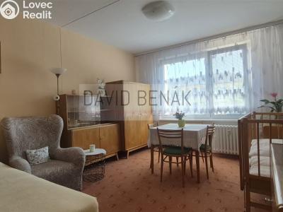 Prodej bytu 1+1 Smiřice, Gen. Govorova 551 č. 8