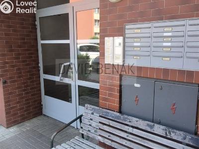 Prodej bytu 1+1 Smiřice, Gen. Govorova 551 č. 17