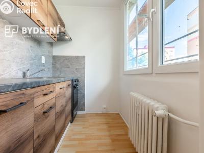 Prodej bytu 1+KK Teplice, Hlávkova 1379 č. 2