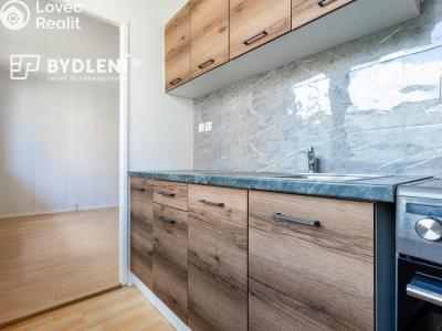 Prodej bytu 1+KK Teplice, Hlávkova 1379 č. 7