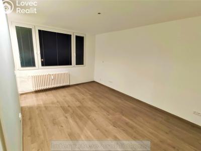 Pronájem bytu 1+KK Kladno č. 2