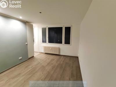 Pronájem bytu 1+KK Kladno č. 3