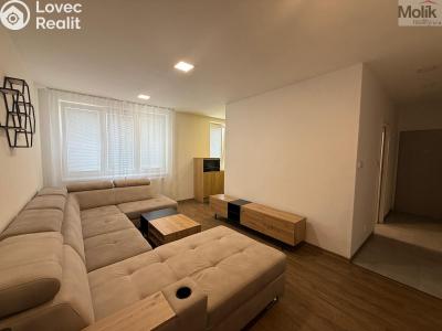 Rent apartment 3+1 Litvínov, Vinohradská 969 č. 1