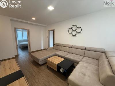 Rent apartment 3+1 Litvínov, Vinohradská 969 č. 2