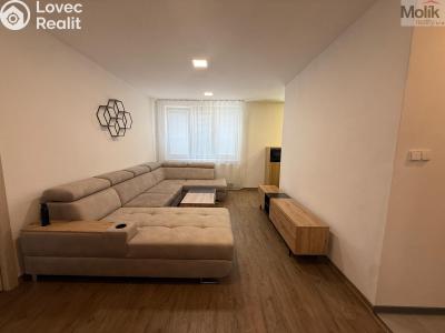 Rent apartment 3+1 Litvínov, Vinohradská 969 č. 3