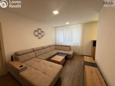 Rent apartment 3+1 Litvínov, Vinohradská 969 č. 4