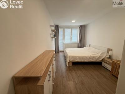 Rent apartment 3+1 Litvínov, Vinohradská 969 č. 6