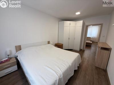 Rent apartment 3+1 Litvínov, Vinohradská 969 č. 8